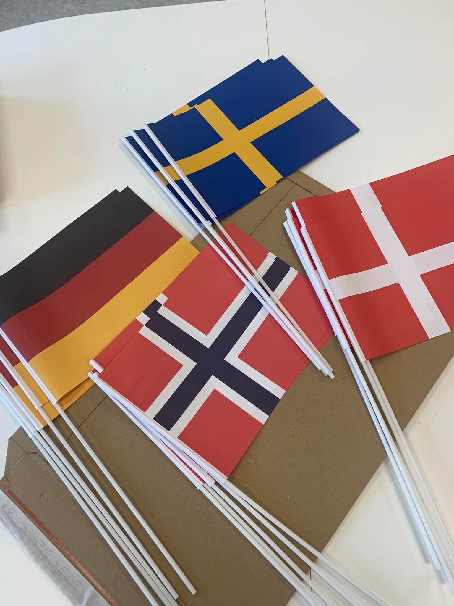 Custom Hand Waving Flag Plastic Stick Wooden Stick Polyester Dye Sublimation Printing for Event Promotion