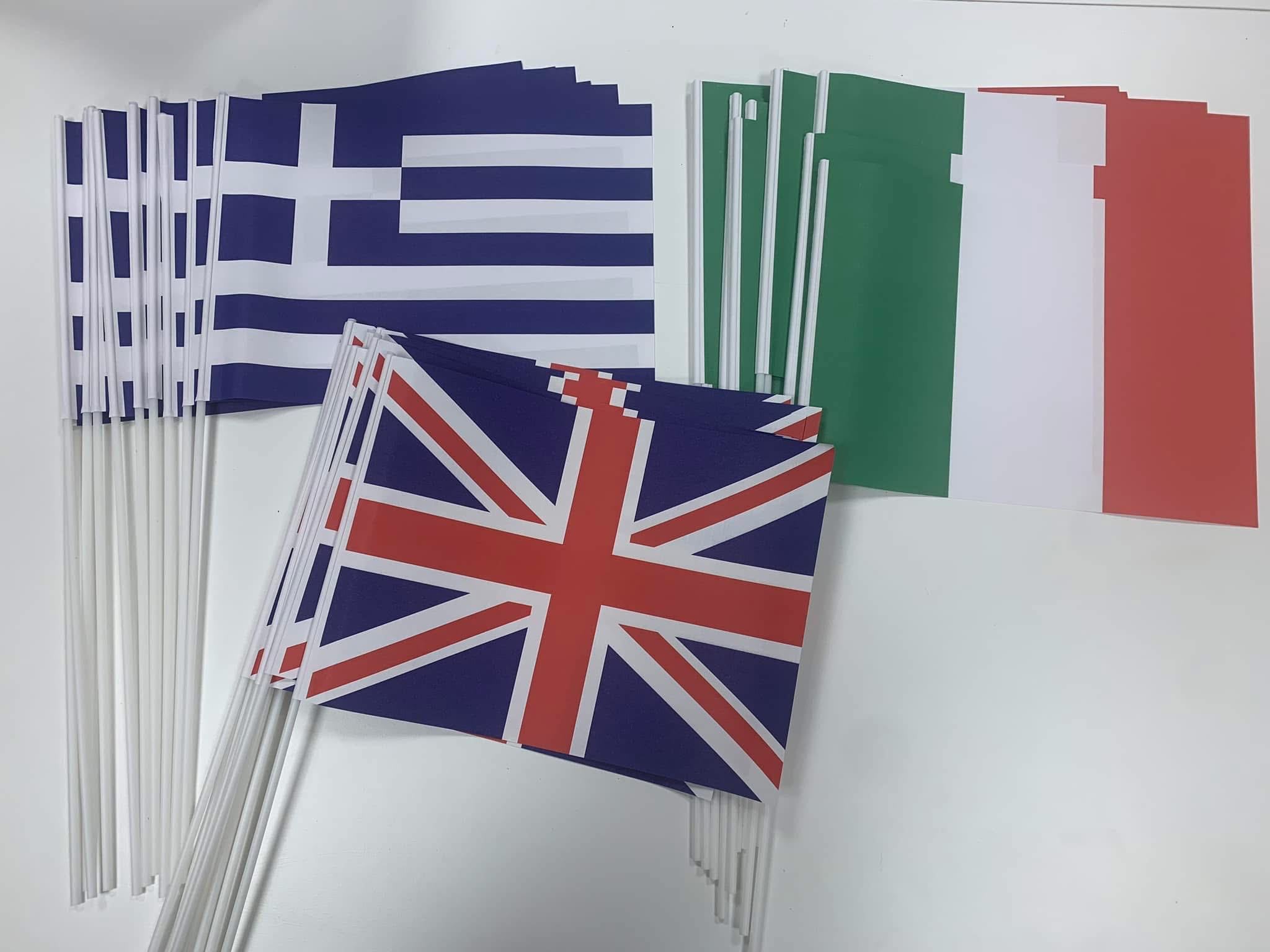 Custom Hand Waving Flag Plastic Stick Wooden Stick Polyester Dye Sublimation Printing for Event Promotion