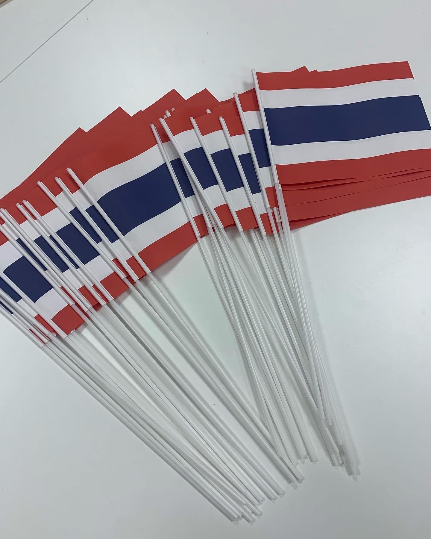 Custom Hand Waving Flag Plastic Stick Wooden Stick Polyester Dye Sublimation Printing for Event Promotion